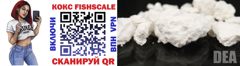 COCAIN Fish Scale Звенигово