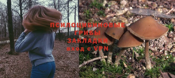 ALPHA-PVP Аркадак