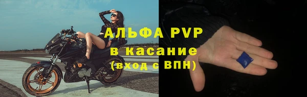 ГАЛЛЮЦИНОГЕННЫЕ ГРИБЫ Арсеньев