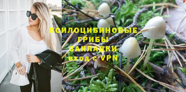 ALPHA-PVP Аркадак