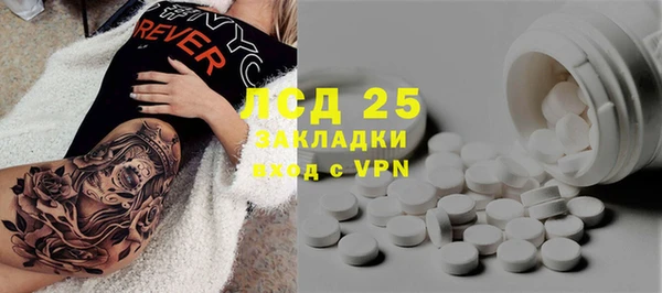 ГАЛЛЮЦИНОГЕННЫЕ ГРИБЫ Арсеньев