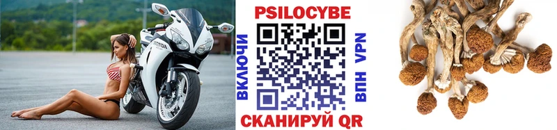 Псилоцибиновые грибы Magic Shrooms  KRAKEN рабочий сайт  Звенигово 